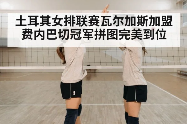 土耳其女排联赛瓦尔加斯加盟费内巴切冠军拼图完美到位