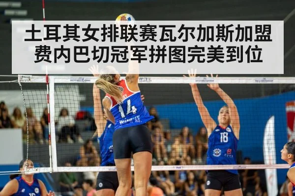volleyball match action